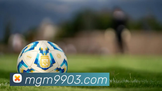 美高梅mgm发展历程